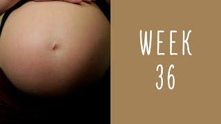 36 Weeks Pregnant - Pregnancy Week by Week