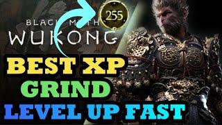 Insane XP & Spark Farm - Level Up Fast - Black Myth Wukong