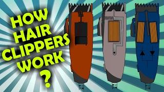 How Rotary, Magnetic and Pivot Hair Clipper Motors work?