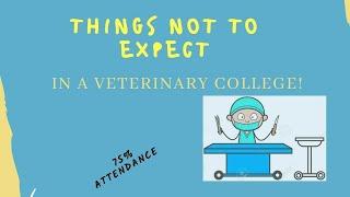 What Not To Expect In a Veterinary College | Vet Visit