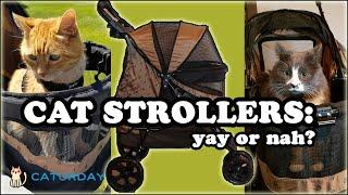 CAT STROLLER REVIEW: unboxing, assembly, + cats riding in the stroller! (Pet Gear No-Zip Stroller)