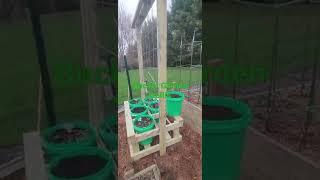 Bucket Garden Trellis