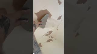 FIXING FLAKEY PAINT #diy #diypainting #ytshorts #paint #youtube #asmr #viral