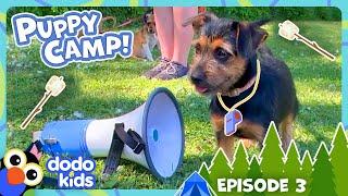 Which Puppy's Team Wins EPIC Camp-Wide Showdown? | Dodo Kids | Dog Days Of Summer Camp | Episode 3