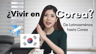 ¿CÓMO ES VIVIR EN COREA? Gastos y realidades I Hanna Coreana