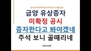 금양 유상증자 미확정 공시 증자한다고 봐야겠네 주석 보니 골때리네