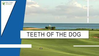 Teeth of The Dog at Casa de Campo