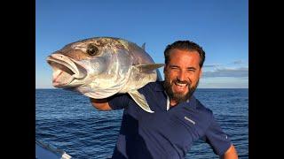 Pesca di ricciole su relitti !