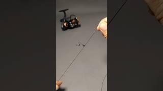 Bottom Fishing Rig: Expert Setup for Big Catches