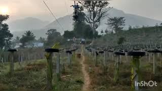 Araku village Sky rope cycling