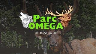 Visite du PARC OMÉGA - Un Parc animalier du Québec -