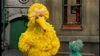 Sesame Street - Big Bird Helps Carlo & Gina