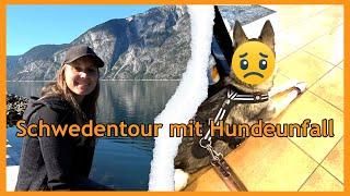 Schweden mit Hunde Teil 1  | Es kam alles anders! | Outdoor Anca