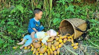 Harvesting natural fruits for sale - duck care - cooking | Build a farm