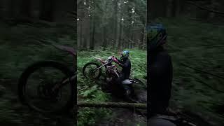 Эндурим новичков. Сквозь лес. Творожки 35 #enduro #эндуро #regulmoto #dirtbike #avantis #offroad