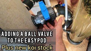 Fitting a ball valve to the easypod, plus new koi stock in the bunker #koipond #Tosai #Easypodvalve