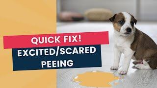 Puppy Pees When Excited and Scared