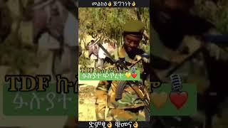 #Tigraytiktok #Tigrigna #TDF #Segar #eritrea #duet #habesha  #tigrignamusicabrahamgebremedhin