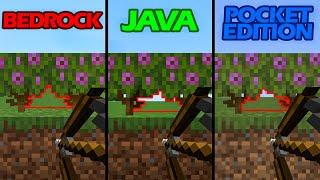 JAVA vs BEDROCK vs POCKET EDITION