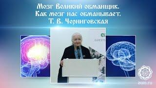 Мозг Великий обманщик. Как мозг нас обманывает. Т.В  Черниговская