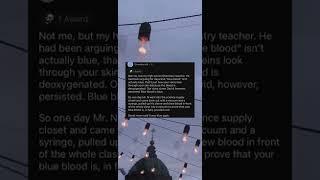 What is the most Extreme thing you'vedone to win an argument #shorts #askreddit #reddit #stories