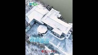 瞰龍江丨冬日雪景 詩情畫意