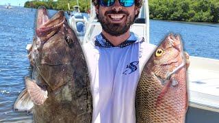 Grouper & Snapper Fishing Inside Tampa Bay