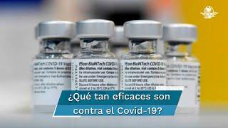 Conoce el porcentaje de efectividad de cada una de las vacunas Covid-19