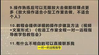 2022最新长久稳定互联网副业项目，小白日赚500-1000