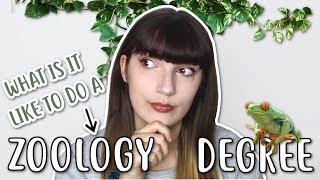  ZOOLOGY DEGREE: What is it like? 