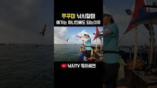 [이벤트] 쭈꾸미낚시 에기 하나만 사용해도 되는이유! #낚시 #fishing #쭈꾸미낚시