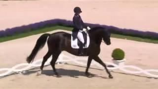 Kasey Perry-Glass & Goerklintgaards Dublet,Aachen CDIO5* 2018