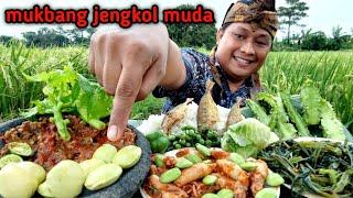 MUKBANG LALAP BATANG PEPAYA MENTAH JENGKOL MUDA kerecek cumi PETE + tumis  kangkung SAMBEL TERASI