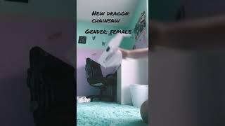 New dragon!! 