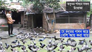 কবুতর পালন - কবুতরের খামার থেকে ১৪০০০ টাকা আয় মাসে ৩৮ জোড়া কবুতর থেকে - Pigeon Farm - Kobutor Palon