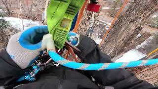 Eric McGrew Tree Climber Ronin Ascent process with Rope Runner Pro Backup