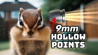 9mm Hollow Points vs. Chipmunks & Squirrels: Is It Overkill?