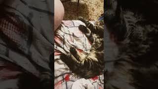 Мой красавчик. Как вырос