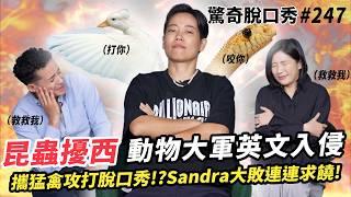 台大昆蟲系 昆蟲擾西 帶鴨鴨學英文？Sandra無法直視ＸＸ？擾西對寵物蟑螂和普通蟑螂雙標？| ( ft.  @deethebugbuff6953  ）驚奇脫口秀#247