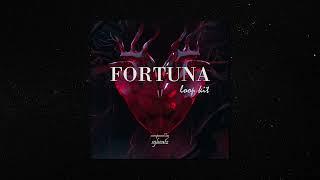 FREE Emotional Guitar Loop Kit/Sample Pack - Fortuna (Polo G, Sleepy Hallow, Juice WRLD)