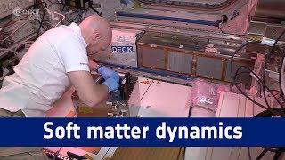 Horizons science – soft matter dynamics