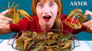 ASMR The Most Crazy Flopping CRAYFISH Eatingsound Realsound Mukbang LiLiBu ASMR