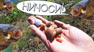 Поиск новых мест. Ловля на спиннинг. Нашёл немного окаменелостей.