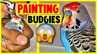 4 Terrible Things People did to their Budgies | Part 5