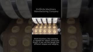 Best sale commercial multi-function walnut biscuit forming machine