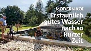 Eine Wasseranalyse an Sebastians Teich | Modern Koi Blog #7225