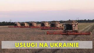 Polska firma od 5 lat kosi tysiące hektarów na Ukrainie - jak to wygląda?