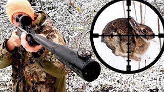 Rabbit Hunting with Gamo Air Rifle! (Scope Cam)