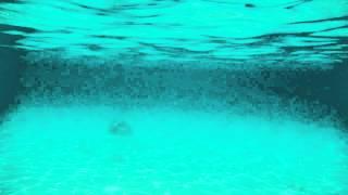 Underwater Scene - Free Stock Video - OrangeHD.com