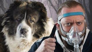 Top 10 Dog Breeds To SURVIVE THE APOCALYPSE With!